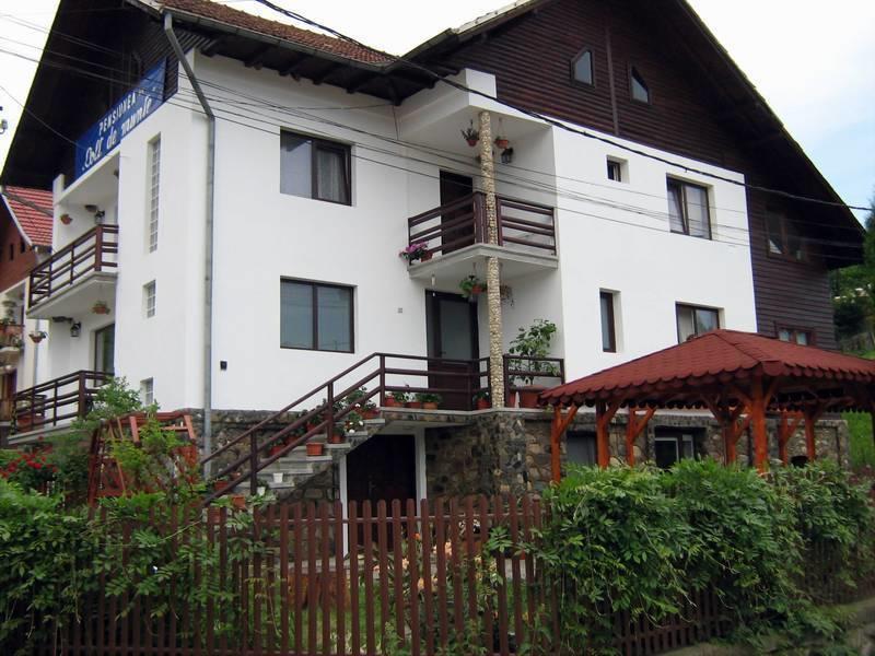 Pensiunea Colt De Munte Corbeni Room photo